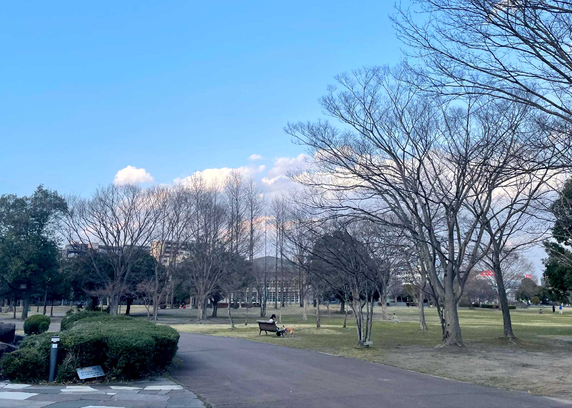 七北田公園