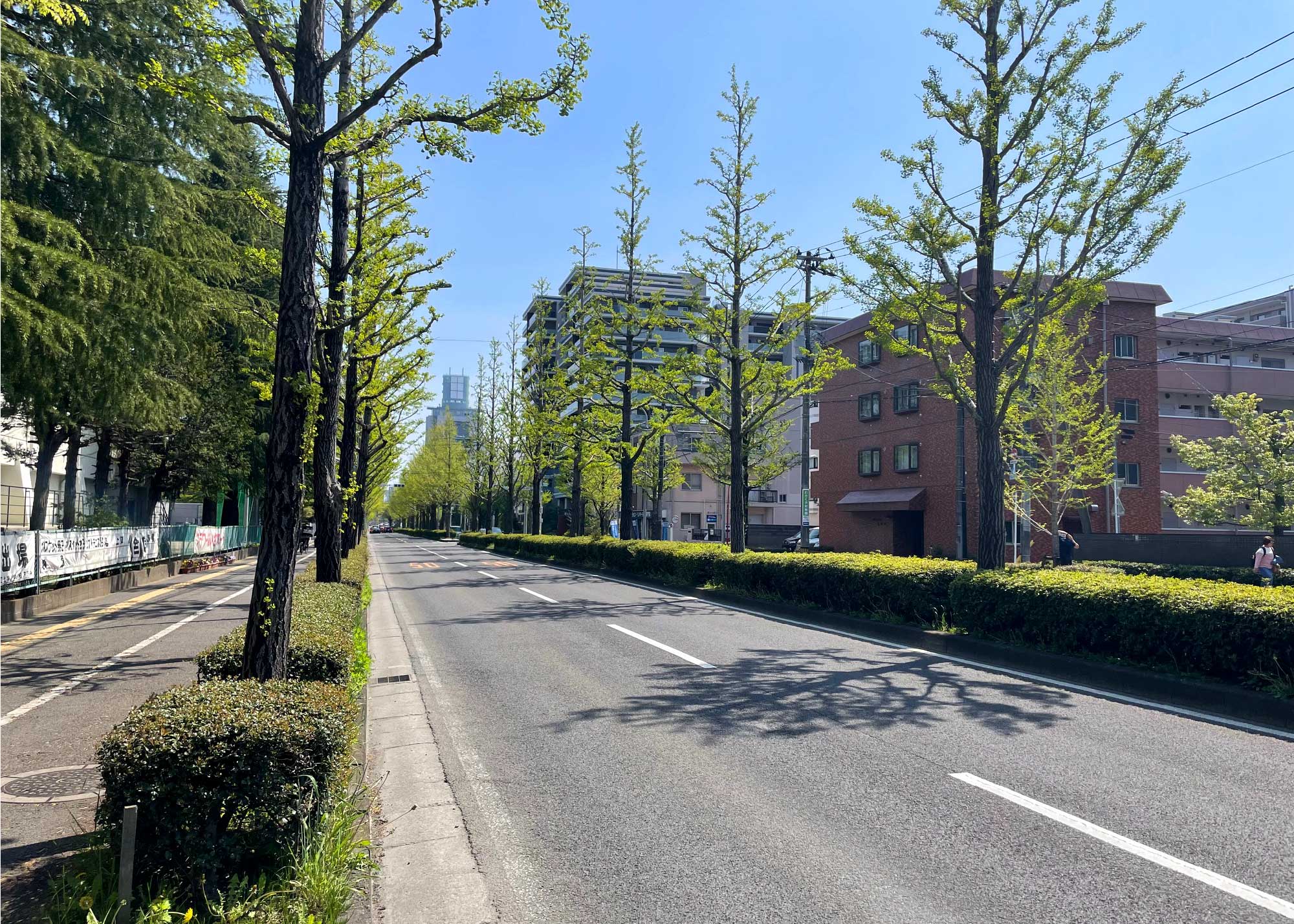 愛宕上杉通り・宮城県道22号仙台泉線